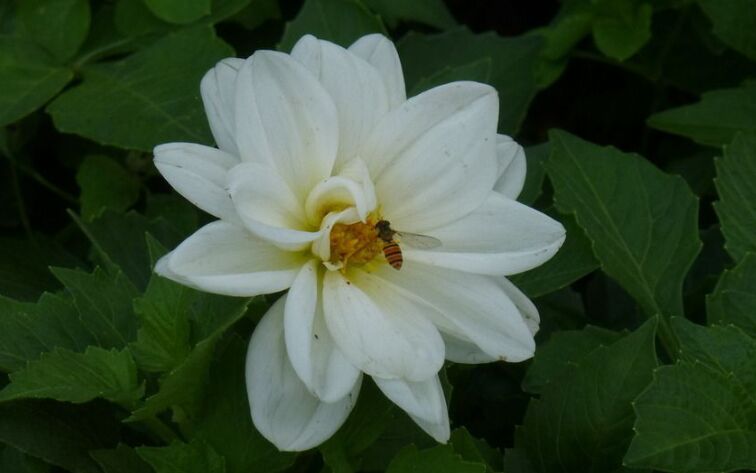 Ƣθ＾ࣿţ1£2ˮ־ܸ 